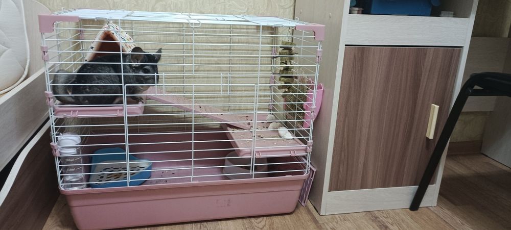 Продам клетку для шиншил
