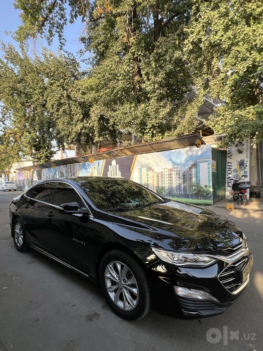 MALIBU premier 2020 batumotors