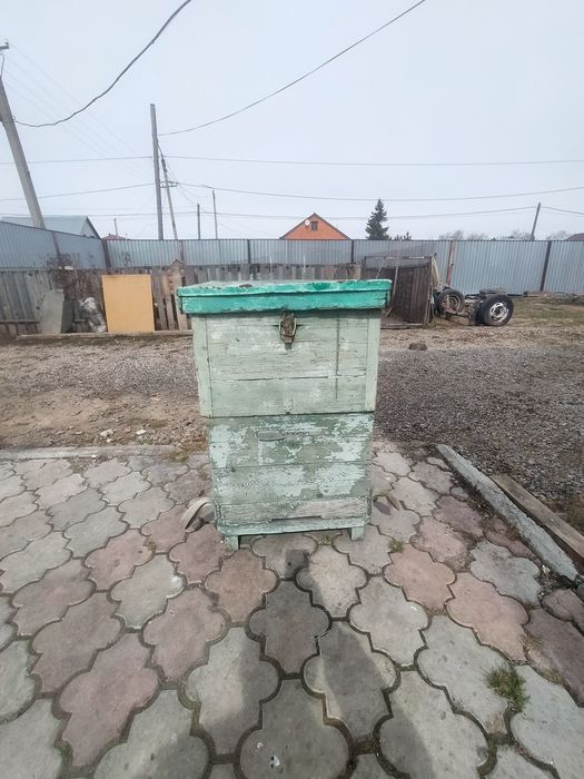 Улей продам дадан