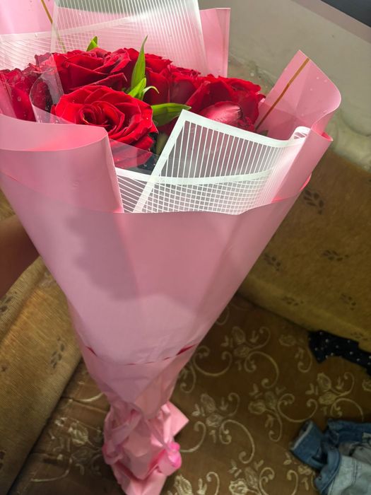 Бүгінгі свежый гул!