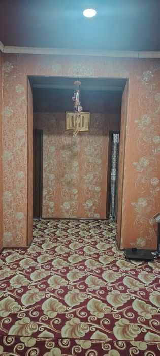 Do'stlik 2014 kotej sotladi narxini kelishtirib beraman