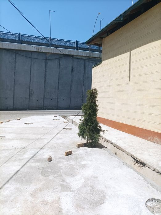 Дом. В аренду в городе  Самарканде