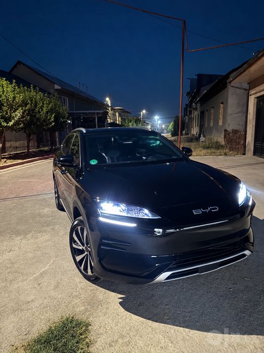 Byd song plus champion 2024 qora