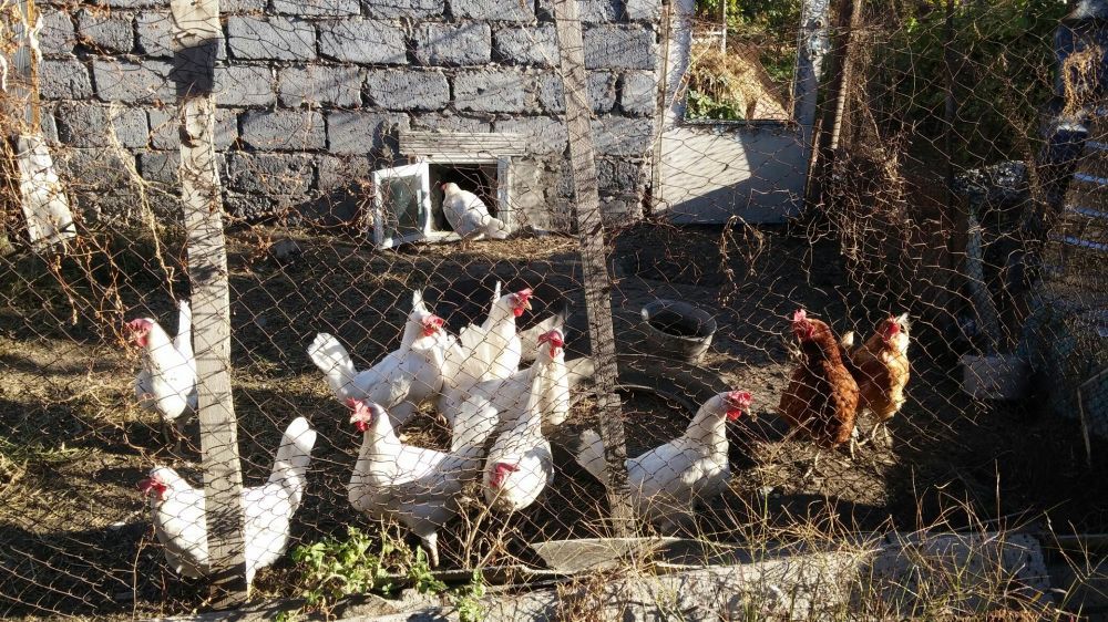 Продажа или обмен