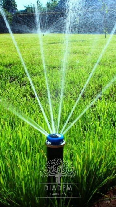 Автополив под ключ