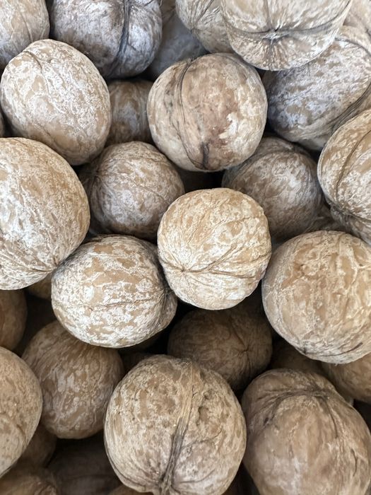 Грецкие орехи сухие, крупные