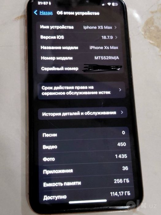 Xs Max Gold 256gb