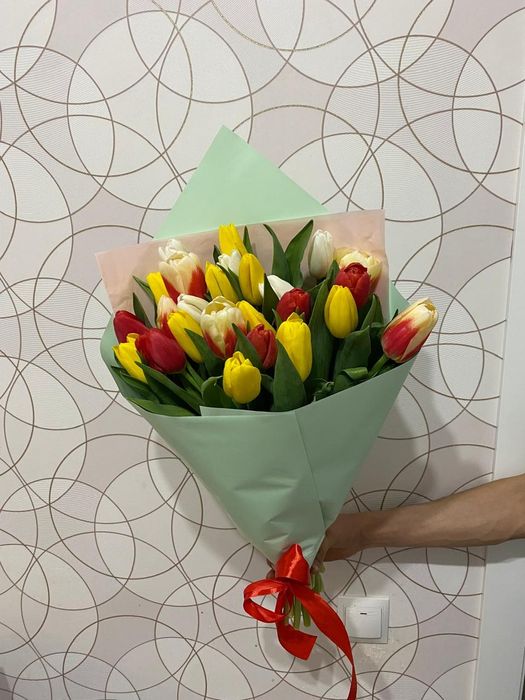 Тюльпан, тюльпаны