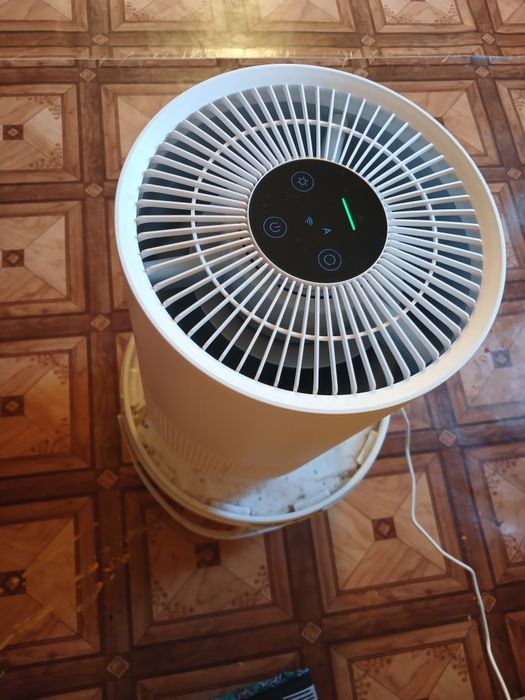 Xavo tozelidi original