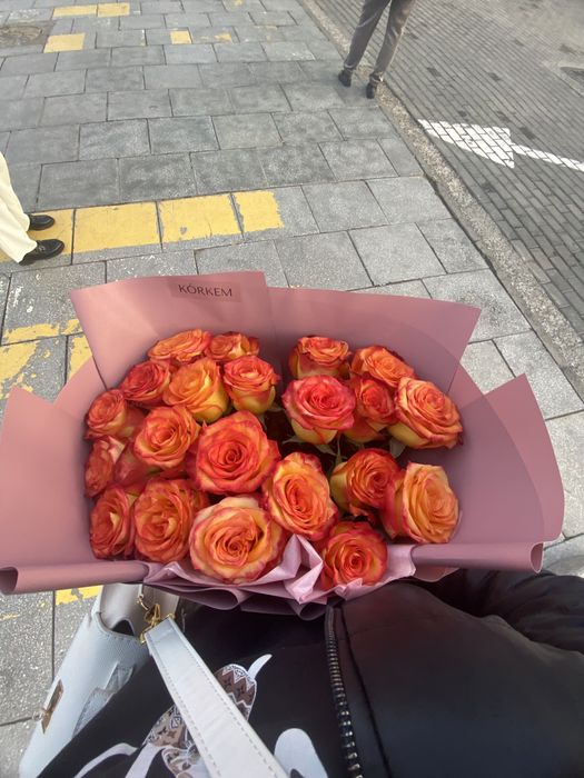 Цветы роза голландские