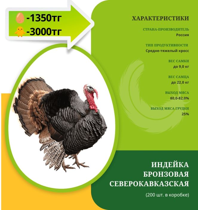 Продам индюшат с марта месяца
