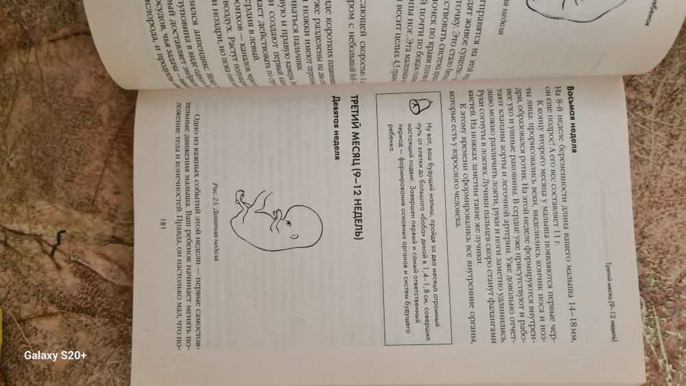 Книга по беременности