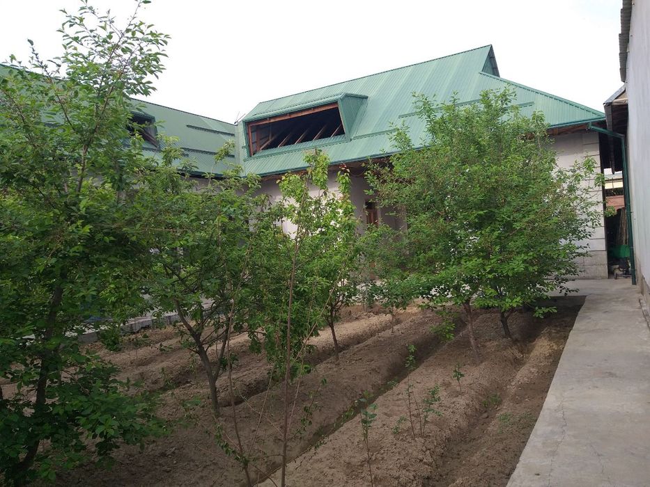 Срочно 6 сотихли ховли уй сотилади