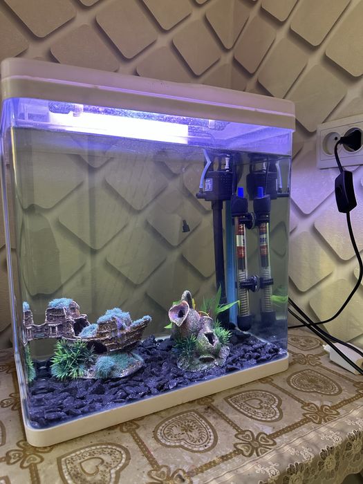 Akvarium 30 litr hamma narsasi bilan