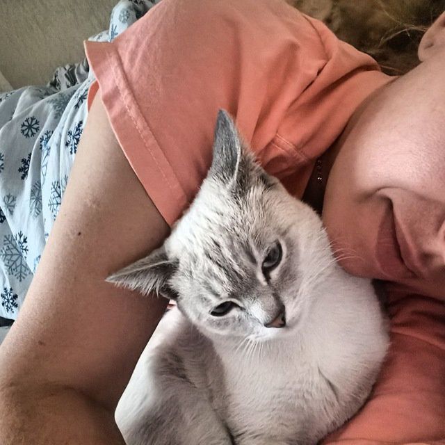 Отдам бесплатно в добрые руки