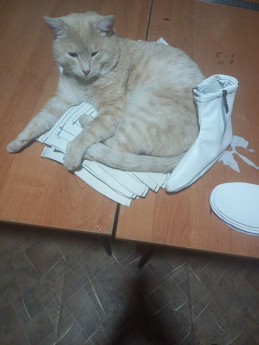 Мәсі детские и взрослые