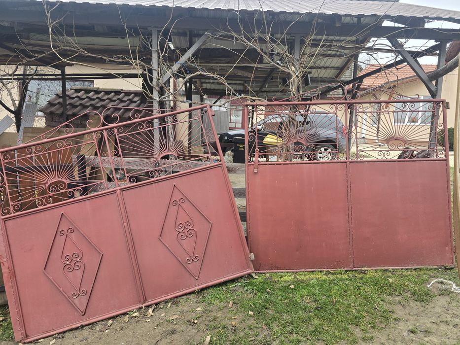 Vând poarta pentru strada