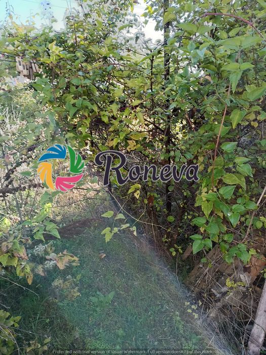 Голямо дворно място с къща и много сезонни постройки