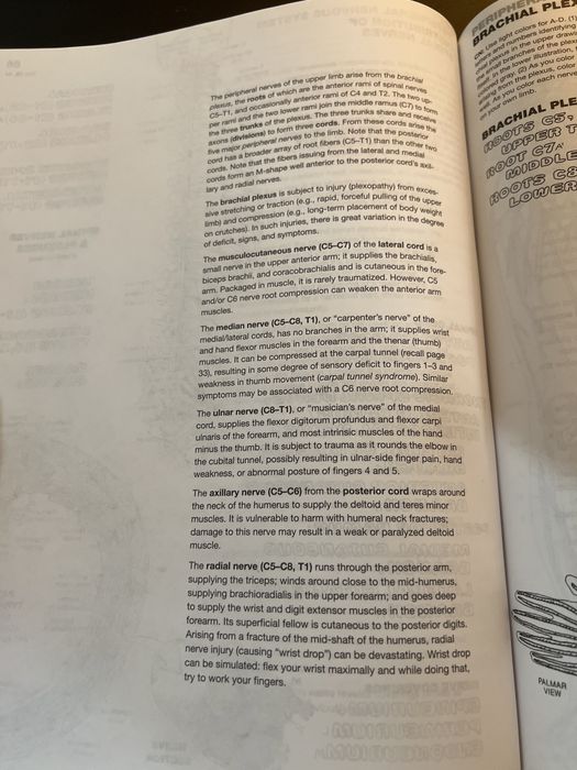 Atlas de anatomie pentru colorat
