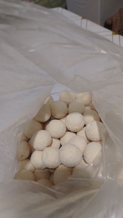 Мамырлы жаңғақ құрты