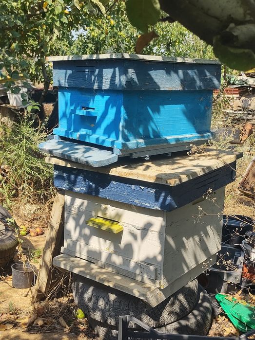 Кошери и магазини