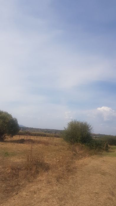 Продава се Парцел в Кочериново - 20300 кв.м за 4 €/кв.м - Снимка #3