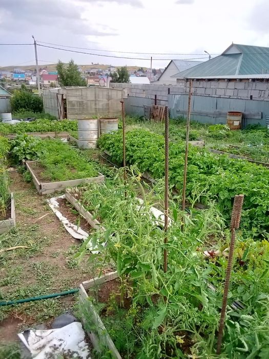 Дом в экологический чистом районе