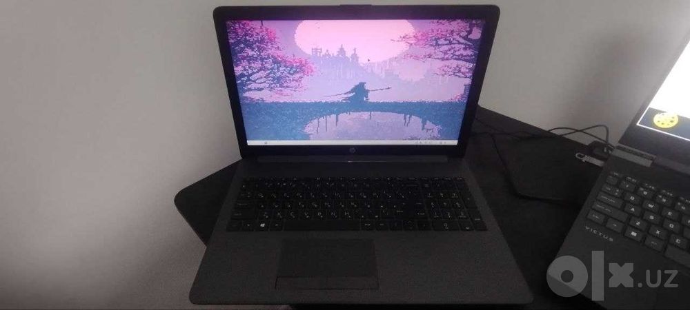 noutbuk hp 255 g7