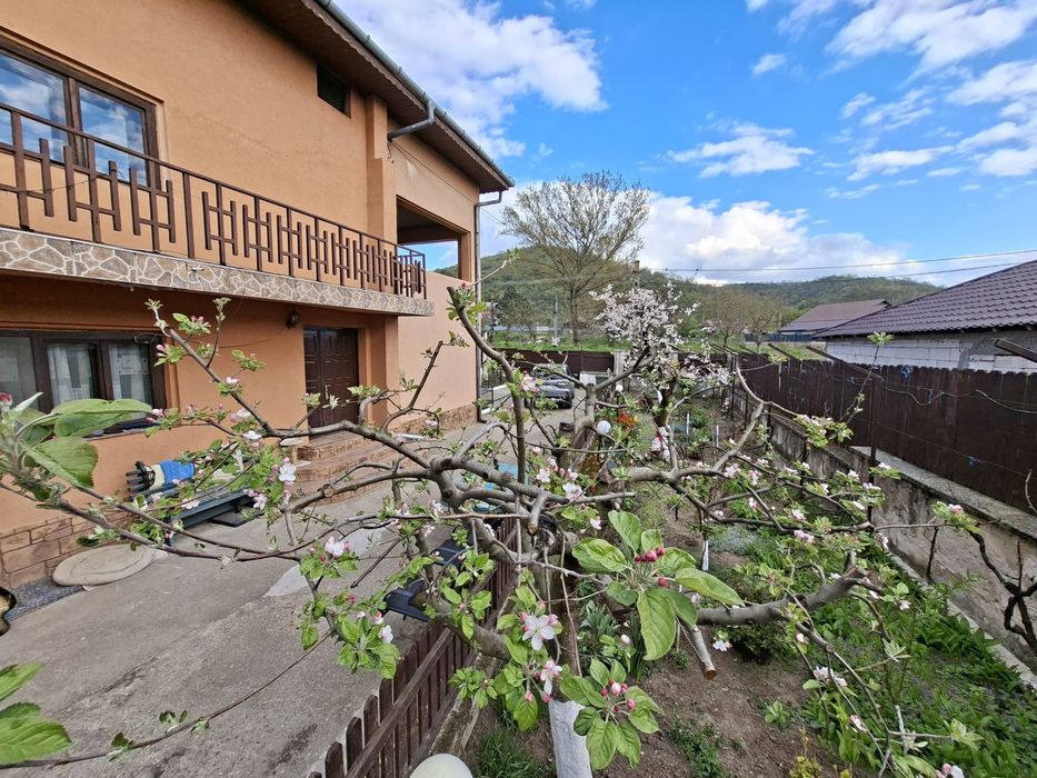 Direct proprietar - vilă de vânzare in Hinova