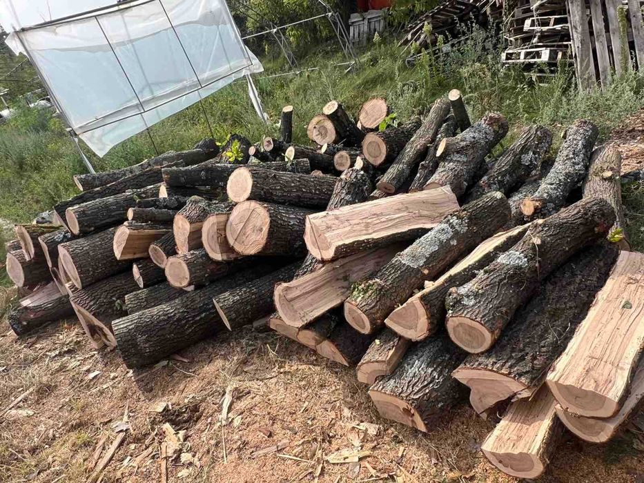 Дърва за огрев Дъб Бук