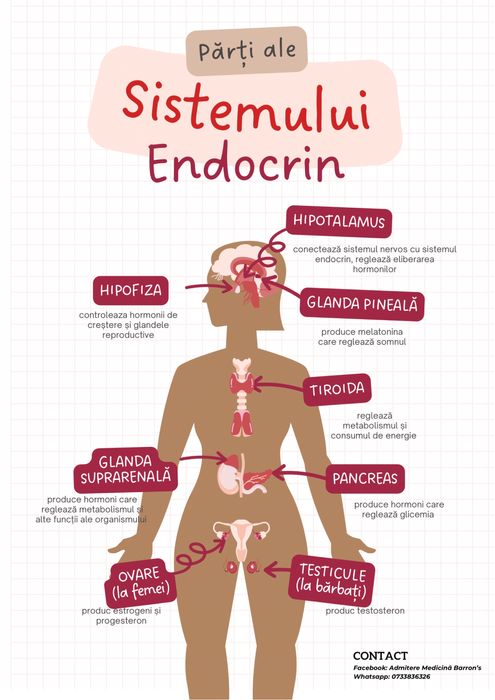 Meditații Anatomie- admitere medicină