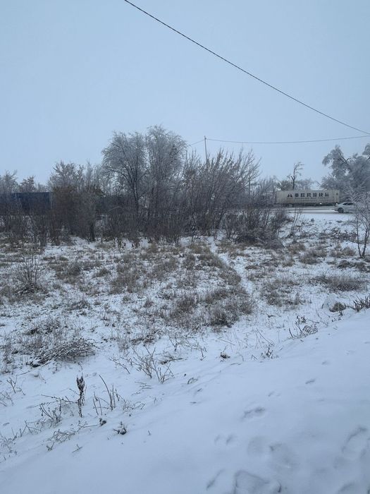 Ұзынағаш ауылда 35 соток жер сатылады