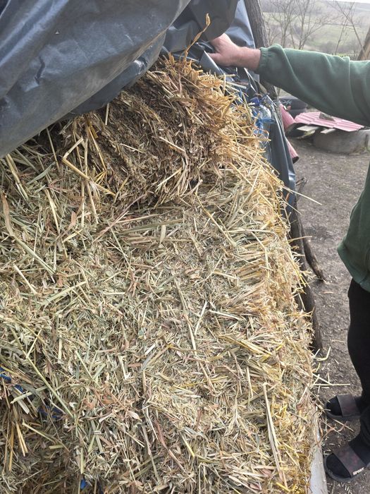 Baloți Fân / Ovăz