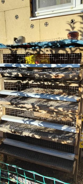 Клетка для перепела