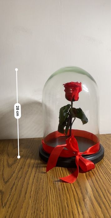 Trandafir criogenizat