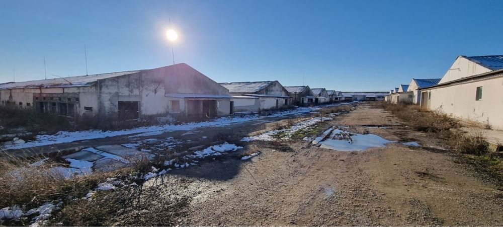 Птицеферма, ферма , промишлени помощения