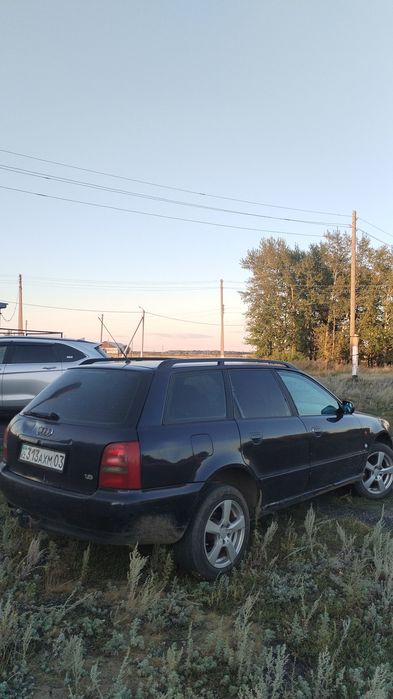 Продам или обмен подсос бычков