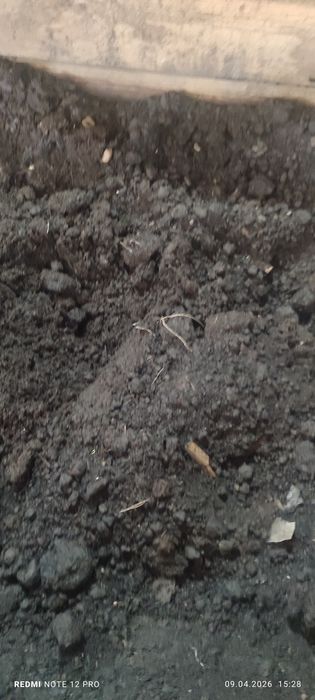 Биогумус -бау-бақшаға, гүл, тал терекке