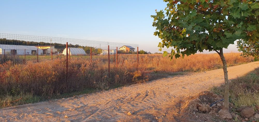 Teren Intravilan 500 mp lângă Pădure – Cozieni, Com. Găneasa, Ilfov