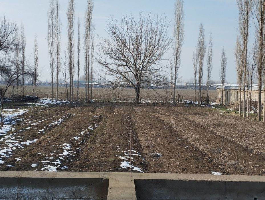 Yer uchastka sotiladi. Naxtga. Hujjatlar hammasi joyida. 6 sotix