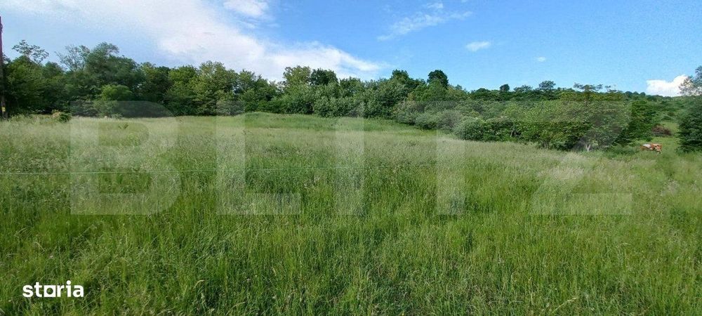 Teren intravilan, 9100 mp, zona Crainimat