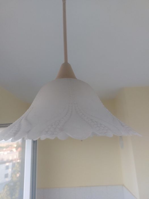 Полилеи стъклени