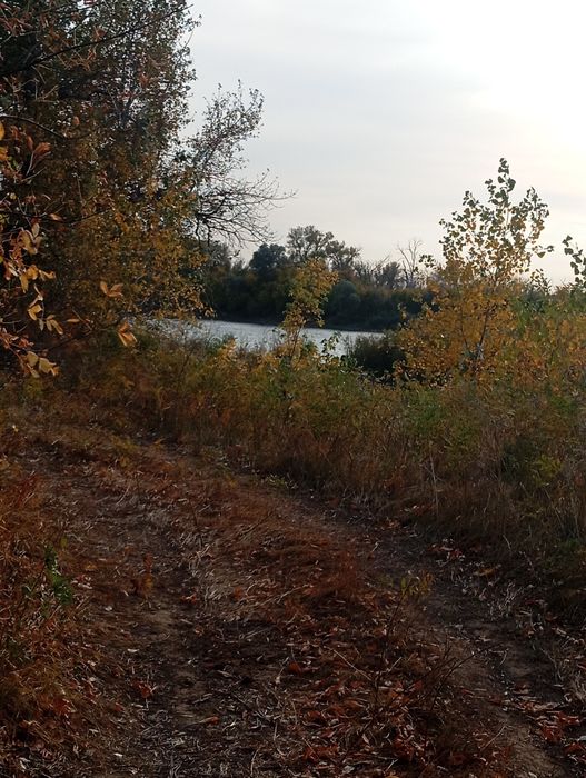 СРОЧНО!! Продам дачу.  Торг хороший