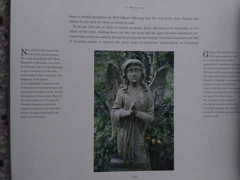 Country Series: Victorian Britain by Michael Jenner