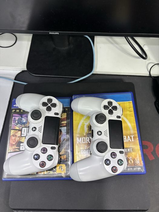 Плестейншын продамь 4