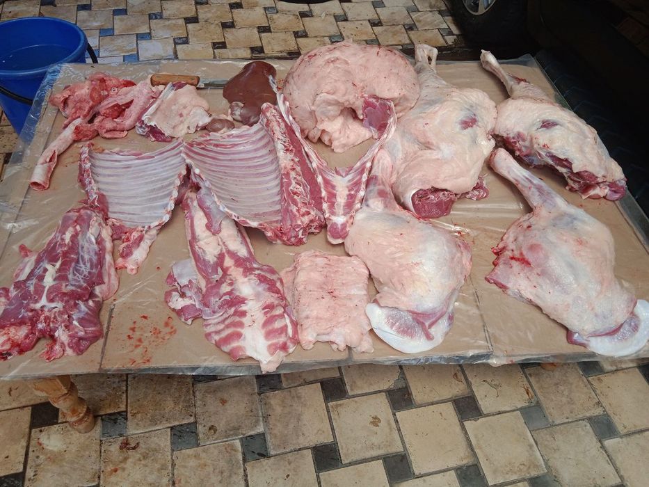 Qassobchilik xizmatini taklif qilamiz tazza va sifatli soyib beramiz