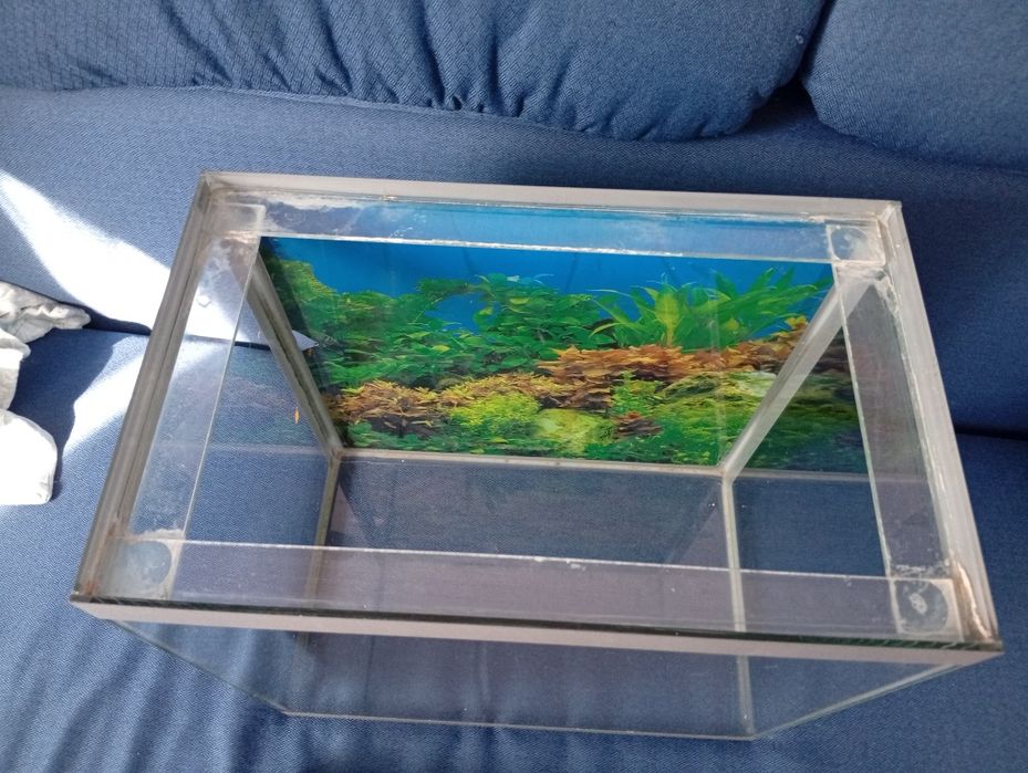 Аквариум стеклянный