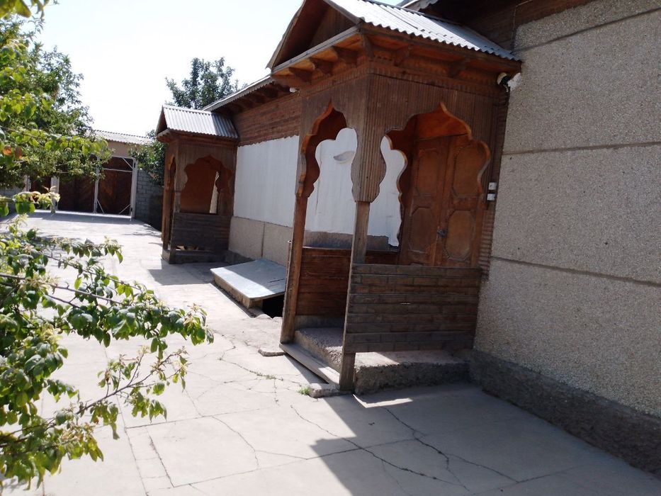 11 сотухли ховли