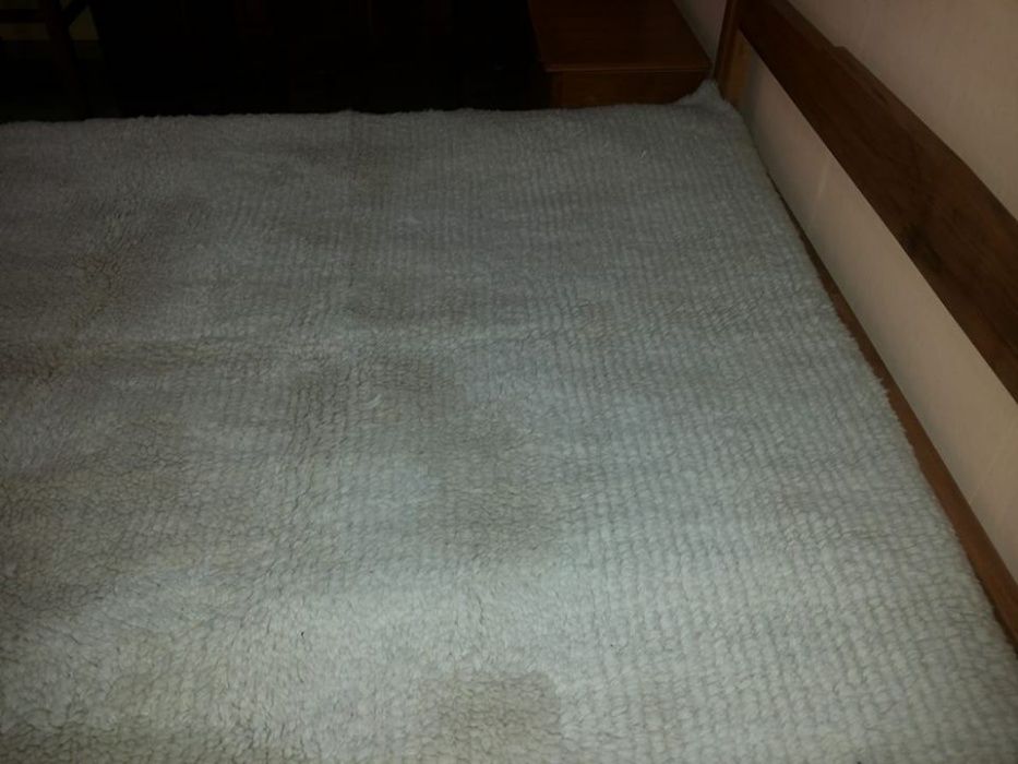 Китеници в различни цветове