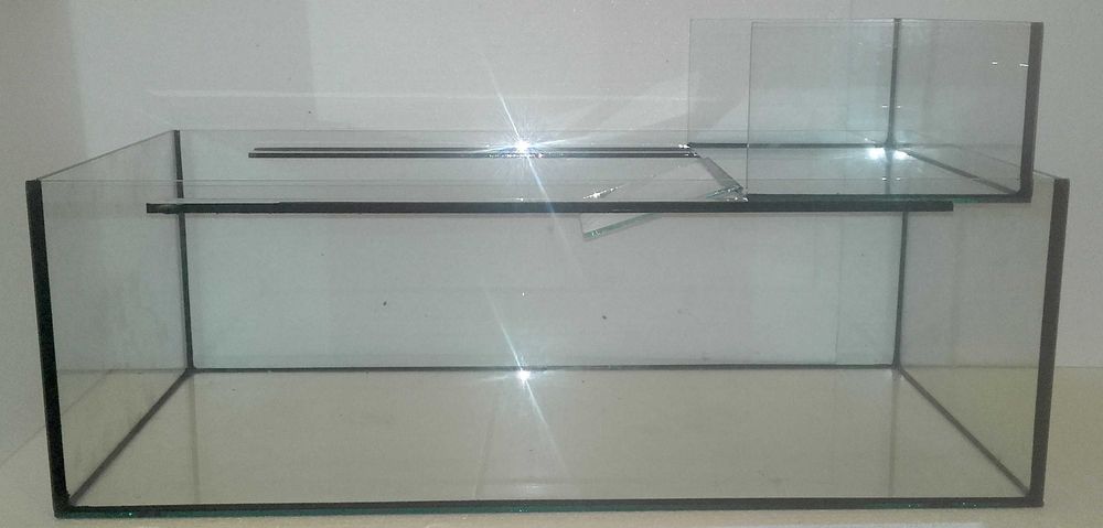 Acvariu Broscute - Acvaterariu Nou 45 litri
